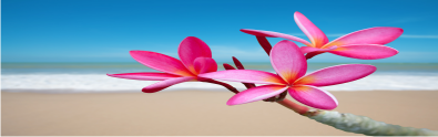Fragance